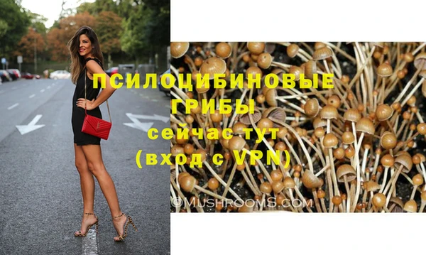 spice Абинск