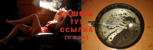 тгк Абаза