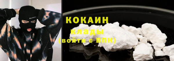 тгк Абаза