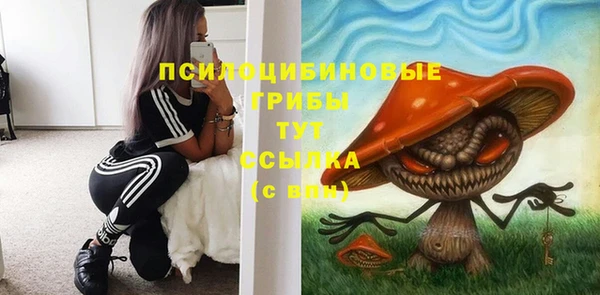 тгк Абаза